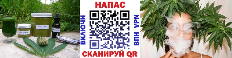 где найти   Новая Ладога  Еда ТГК марихуана 