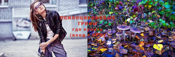 2c-b Балахна