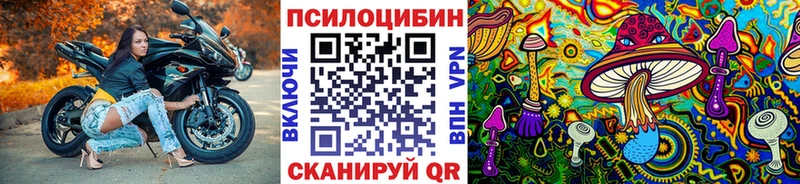 кракен как зайти Новая Ладога Галлюциногенные грибы мицелий