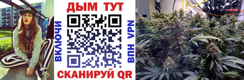 блэк спрут ONION  Новая Ладога  Марихуана ГИДРОПОН 